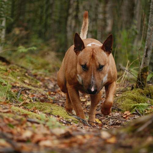 Photo #12780612