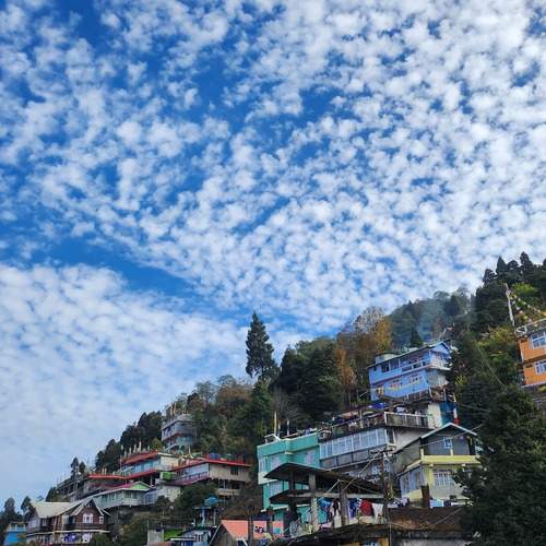 Photo #12780706