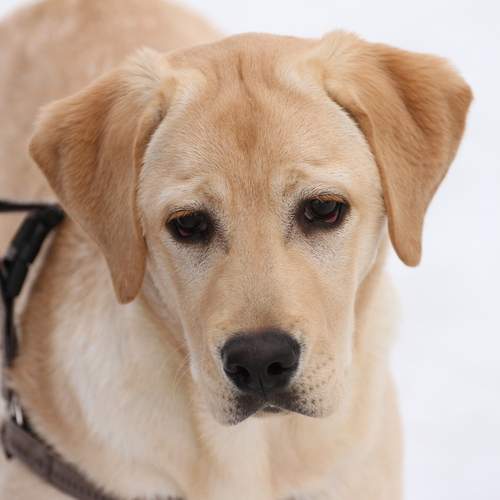Photo #12780788