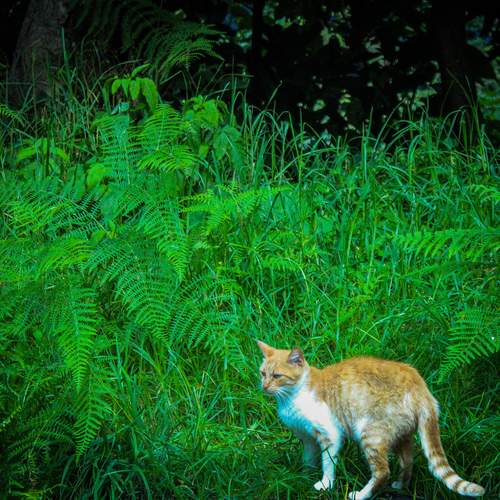 Photo #12780939