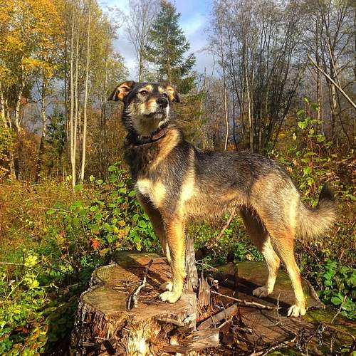 Photo #12780968