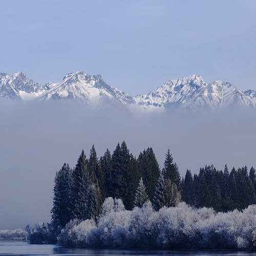Photo #12781156