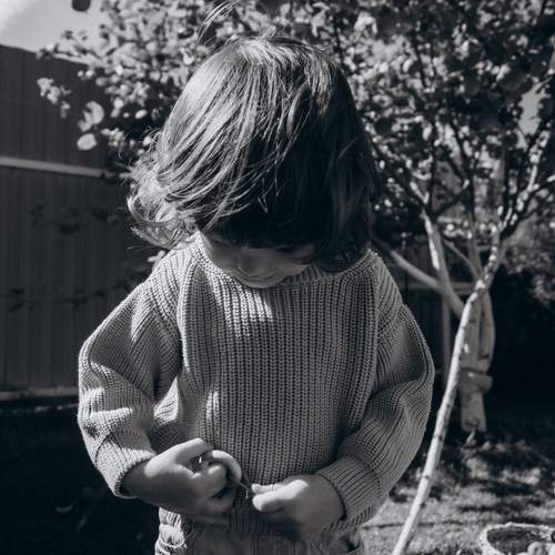 Photo #12781196