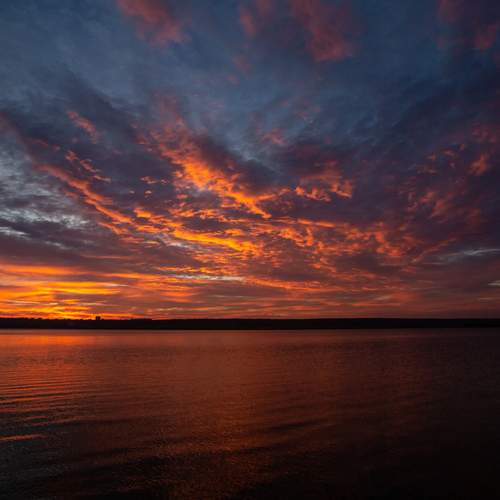 Photo #12781489