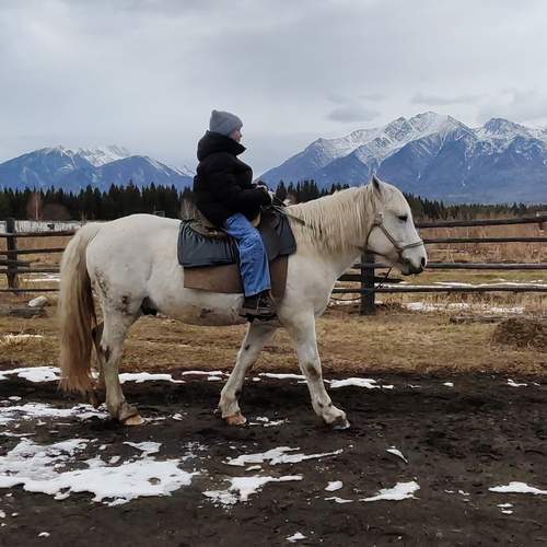 Photo #12781639