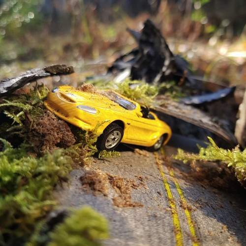 Photo #12781656