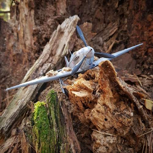 Photo #12781666