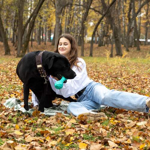 Photo #12781926