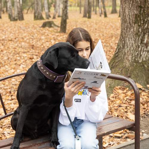 Photo #12781945