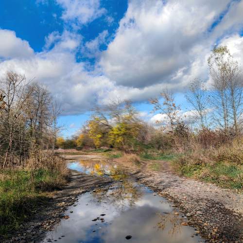 Photo #12782026