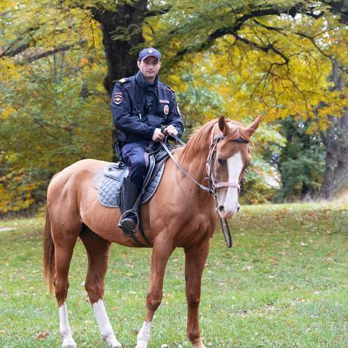 Photo #12782087