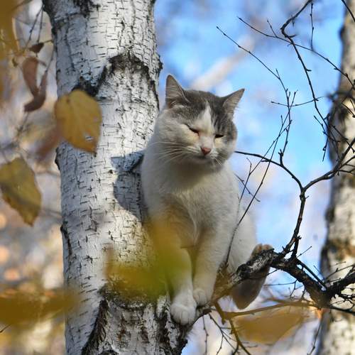 Photo #12782098