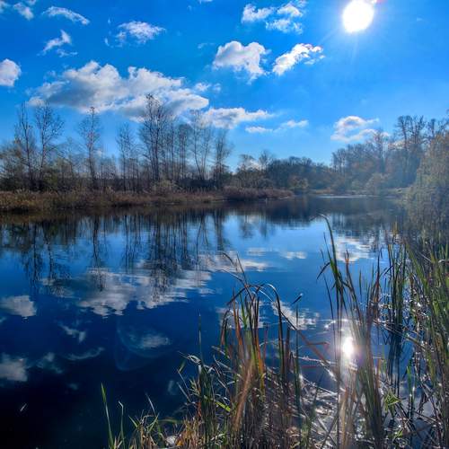 Photo #12782257