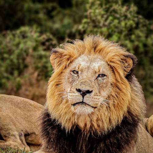 Photo #12782408