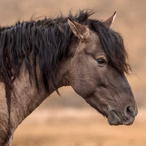 Фотография #12782439