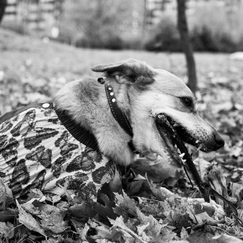 Photo #12782442