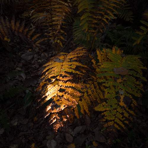 Photo #12782459
