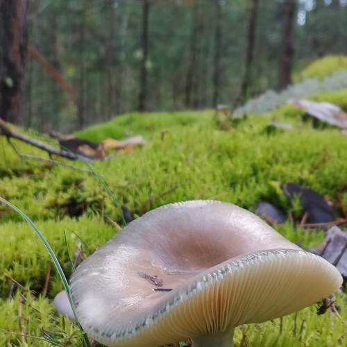 Photo #12782463