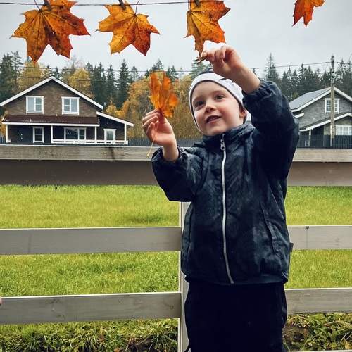 Photo #12782576