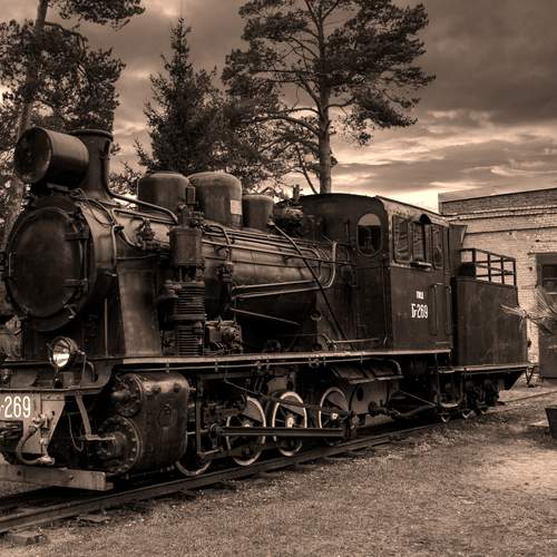 Photo #12782646