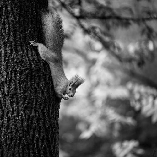 Photo #12782734
