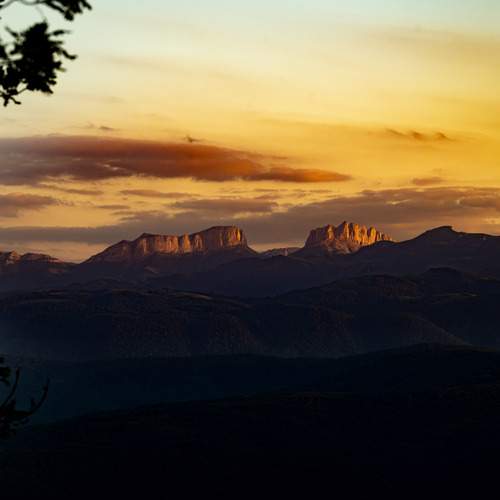 Photo #12782774