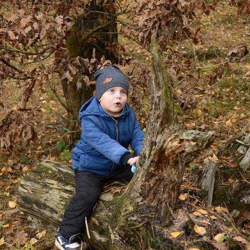 Photo #12782810