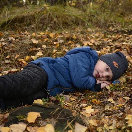 Photo #12782811