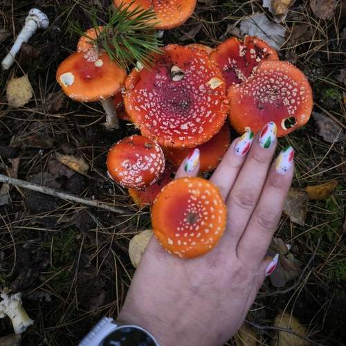 Photo #12782829