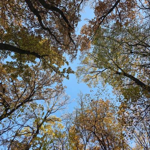 Photo #12782848