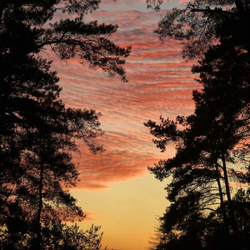 Photo #12782852