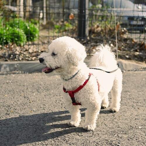 Photo #12782970