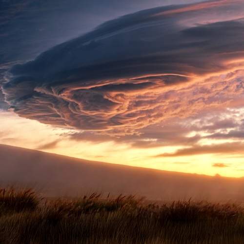 Photo #12783063
