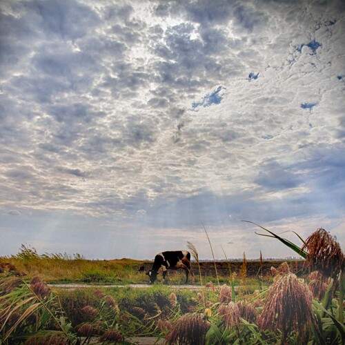 Photo #12783154