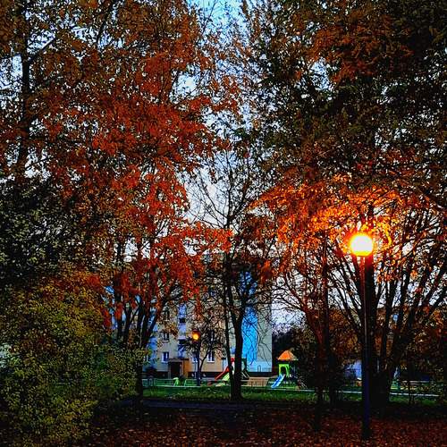 Photo #12783325