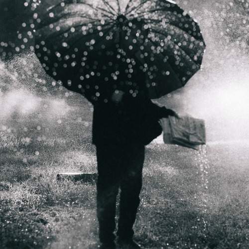 Photo #12783513
