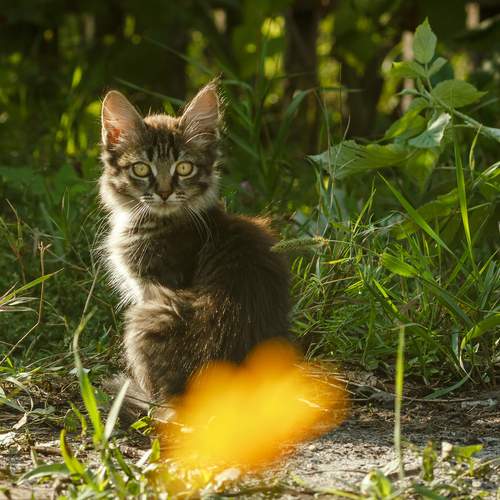 Photo #12783521