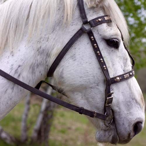 Photo #12783535