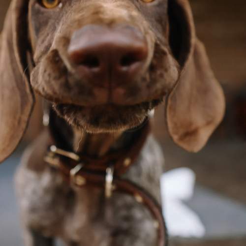 Photo #12783589