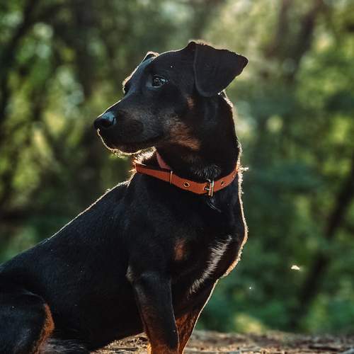 Photo #12783661