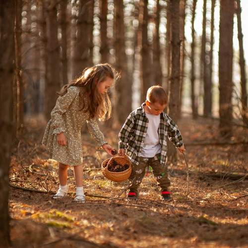 Photo #12783690