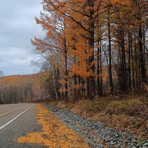 Photo #12783703