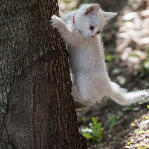 Photo #12783723