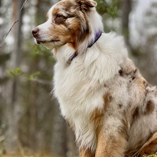 Photo #12783750