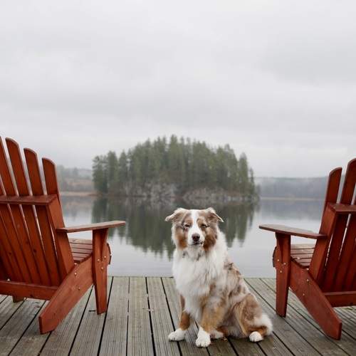 Photo #12783752