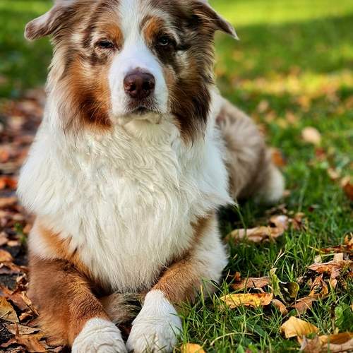Photo #12783759