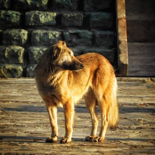Photo #12783886