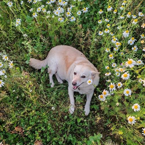 Photo #12784307