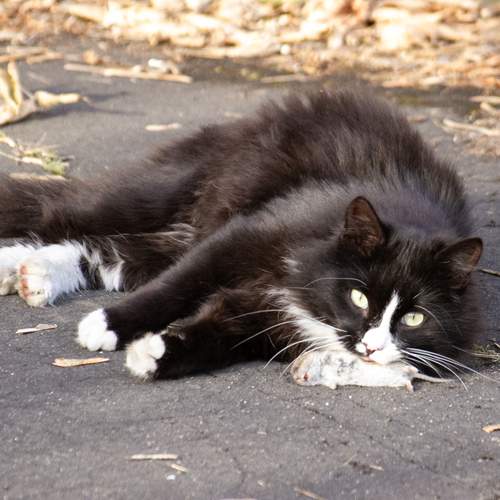 Photo #12784343