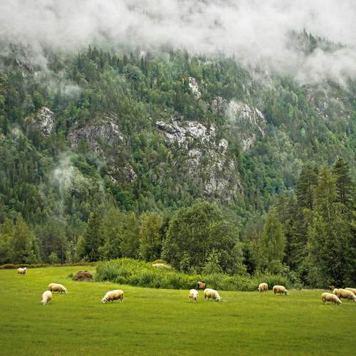 Photo #12784611